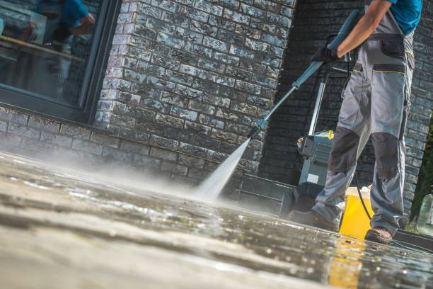 Best Fence Cleaning  in Alexandria, LA