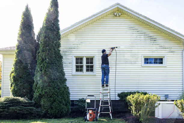 Pre-Holiday Cleaning in Alexandria, LA