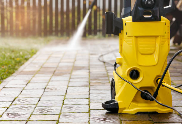 Animal Enclosure Cleaning in Alexandria, LA